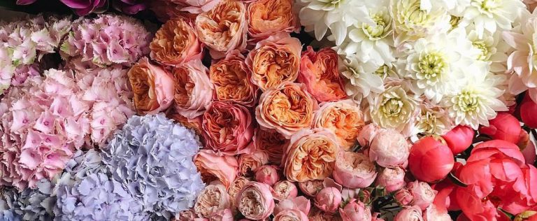 «Dom de Fleurs»