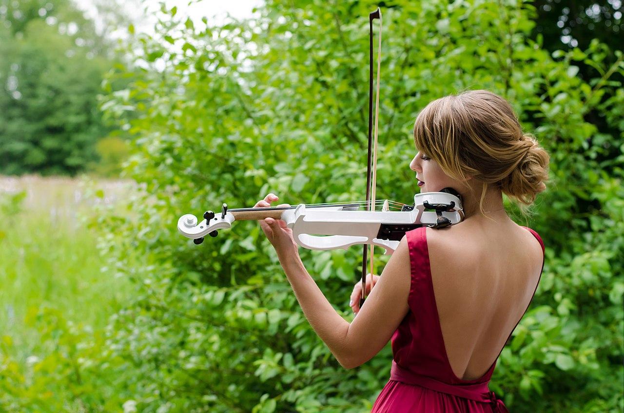 ElectroViolin — фото 12