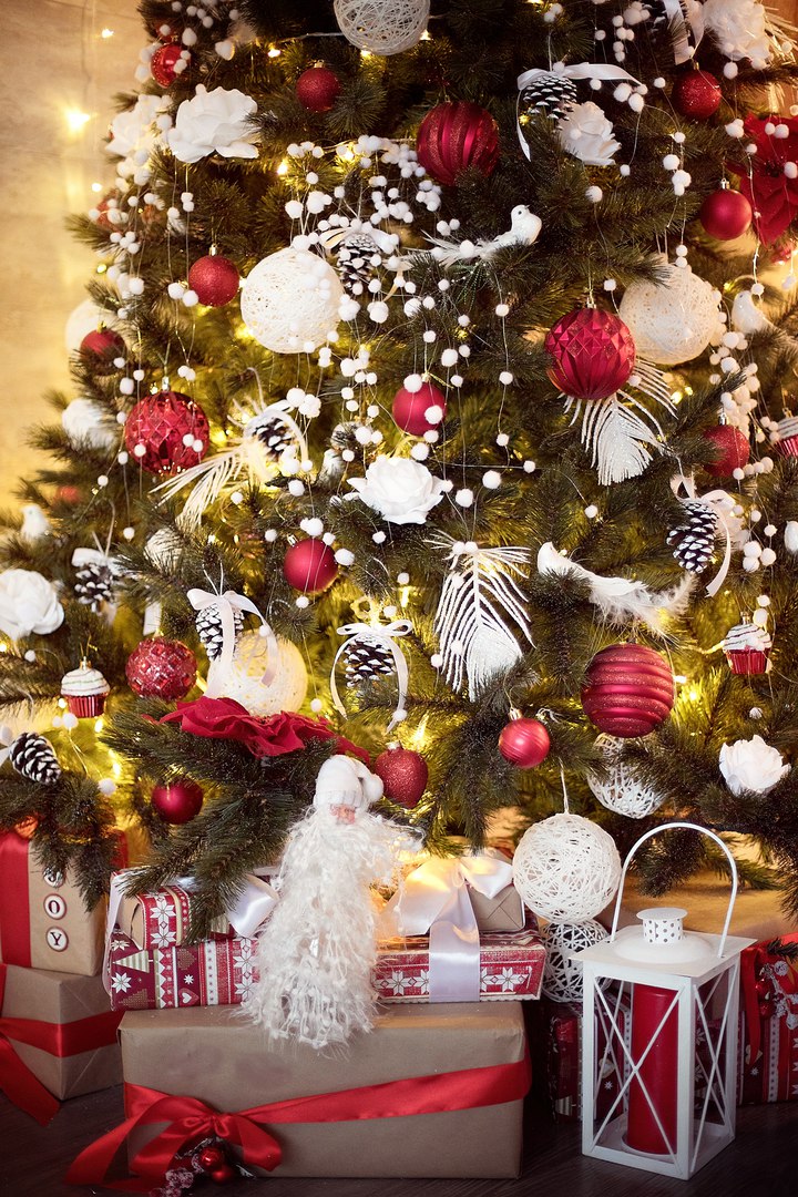 Dream — фото 10