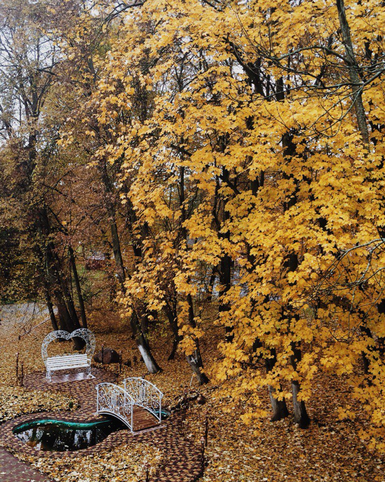 Ресторан Парк Холл — фото 19