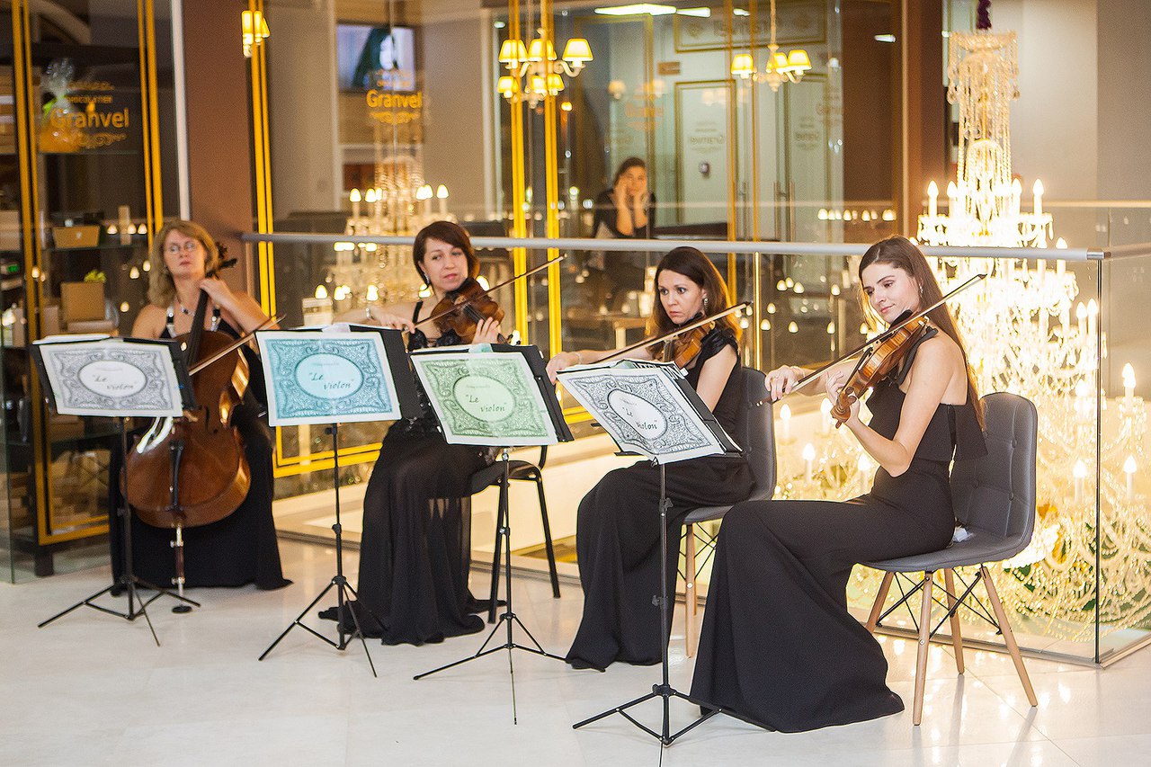LE VIOLON — фото 10